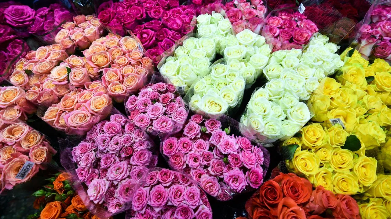 медиасток.рф