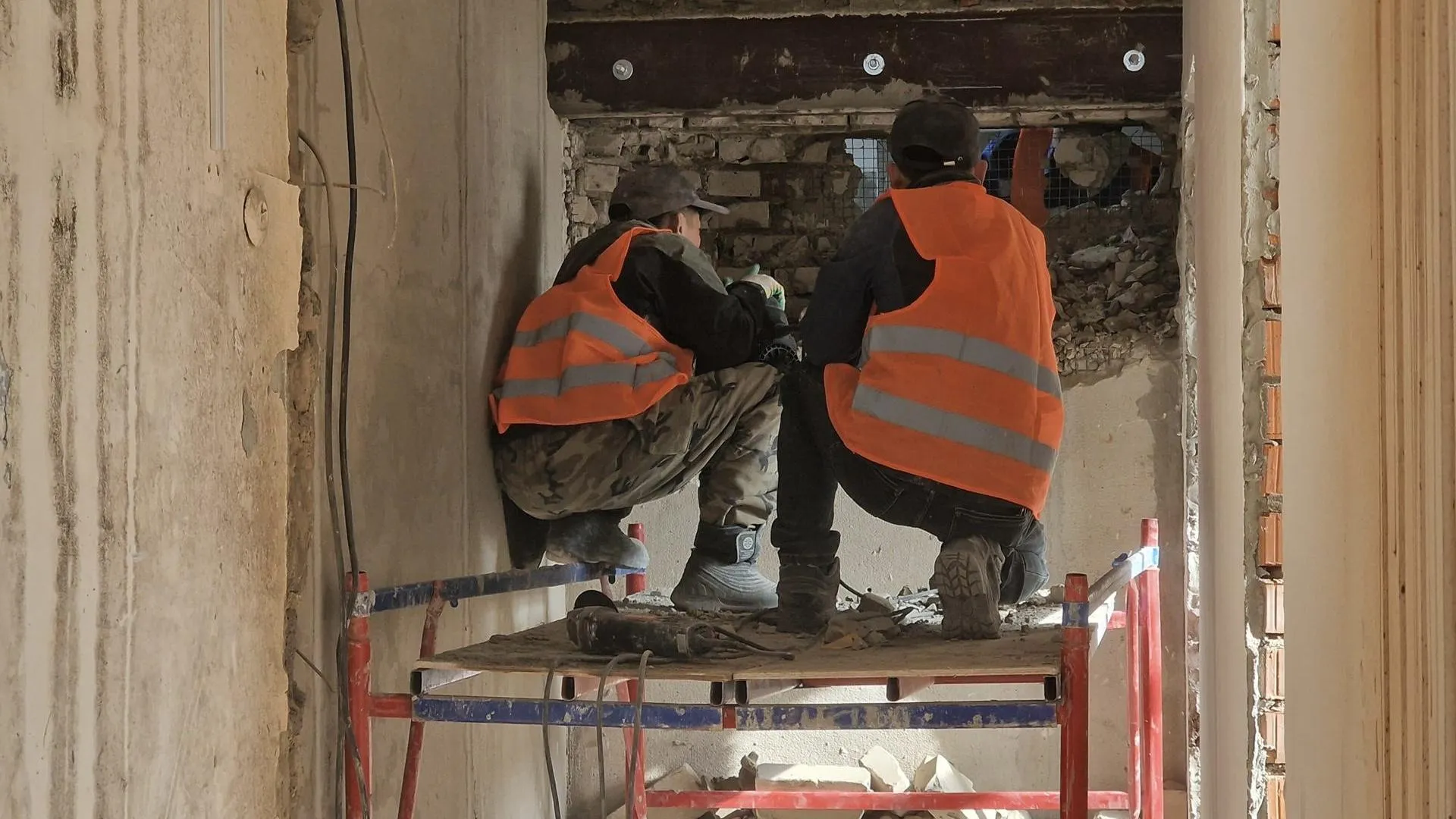 REGIONS/Ольга Шаронова