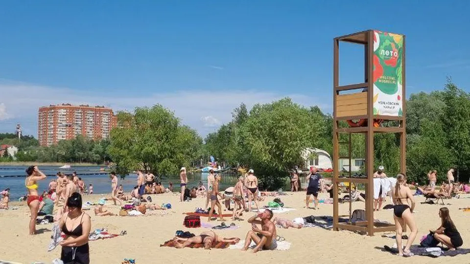 Фото: Министерство благоустройства Московской области