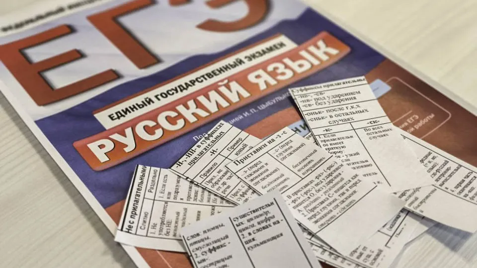 Дарина Левкина