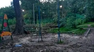 Детскую площадку завалили бревнами в Жуковском