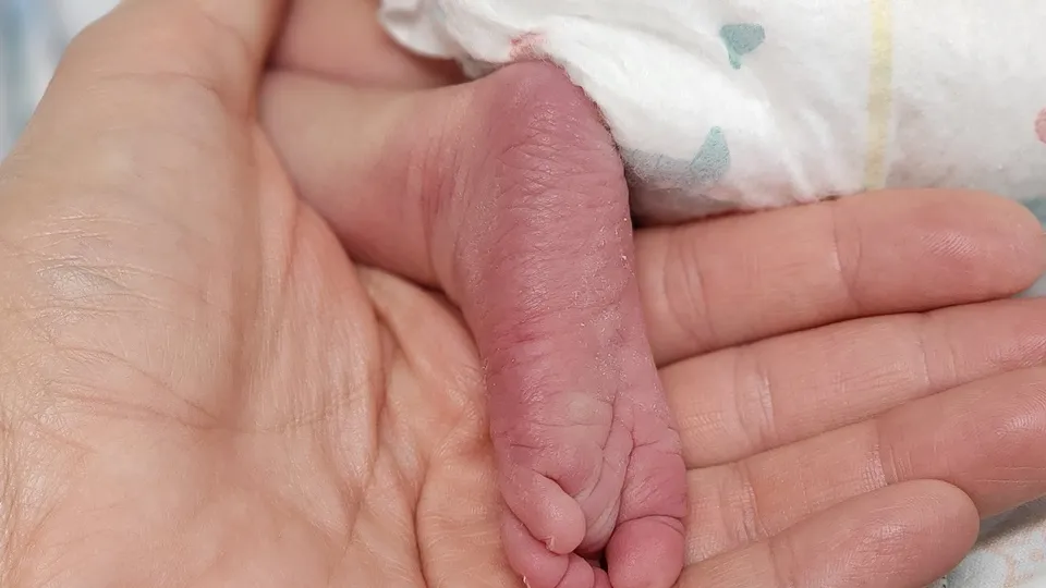 Фото: МедиаБанк Подмосковья/Валентина Максимова