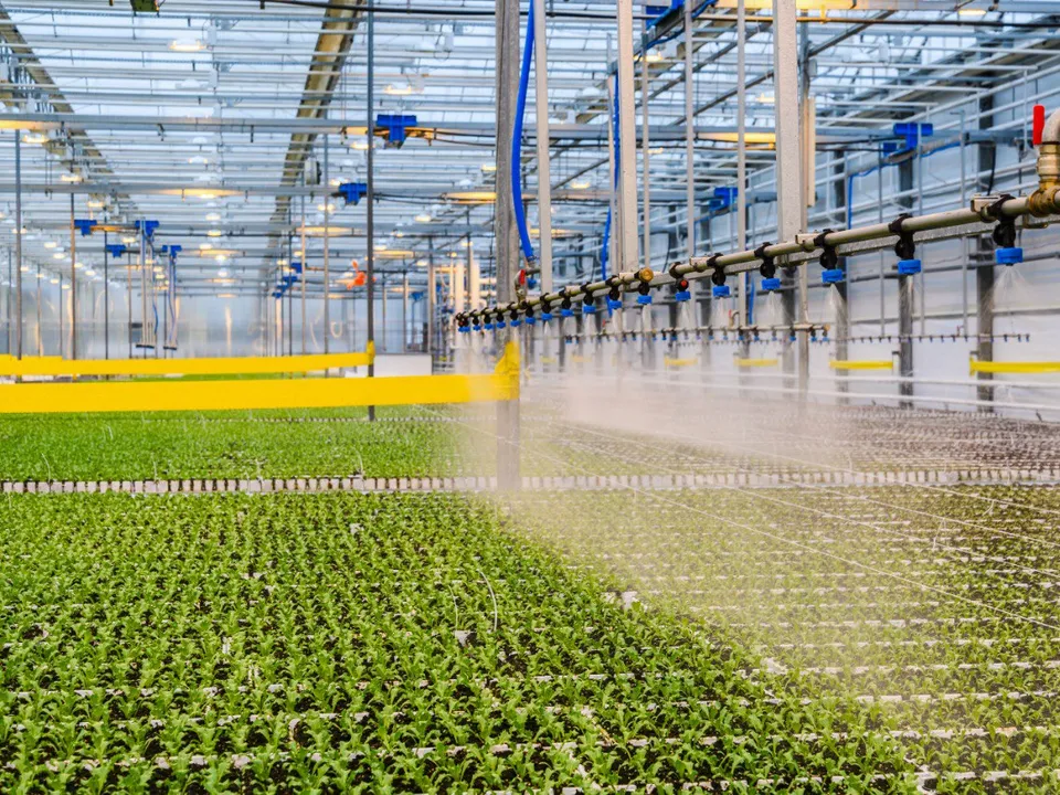 Фото: Министерство сельского хозяйства и продовольствия Московской области