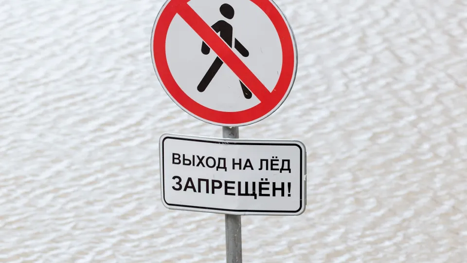 Фото: ТАСС/Алексей Смышляев