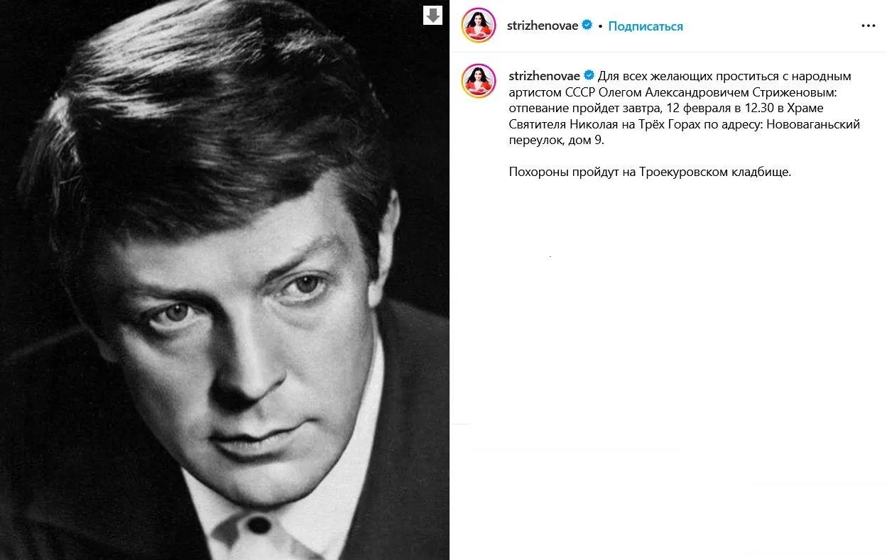 Instagram*.com/strizhenovae