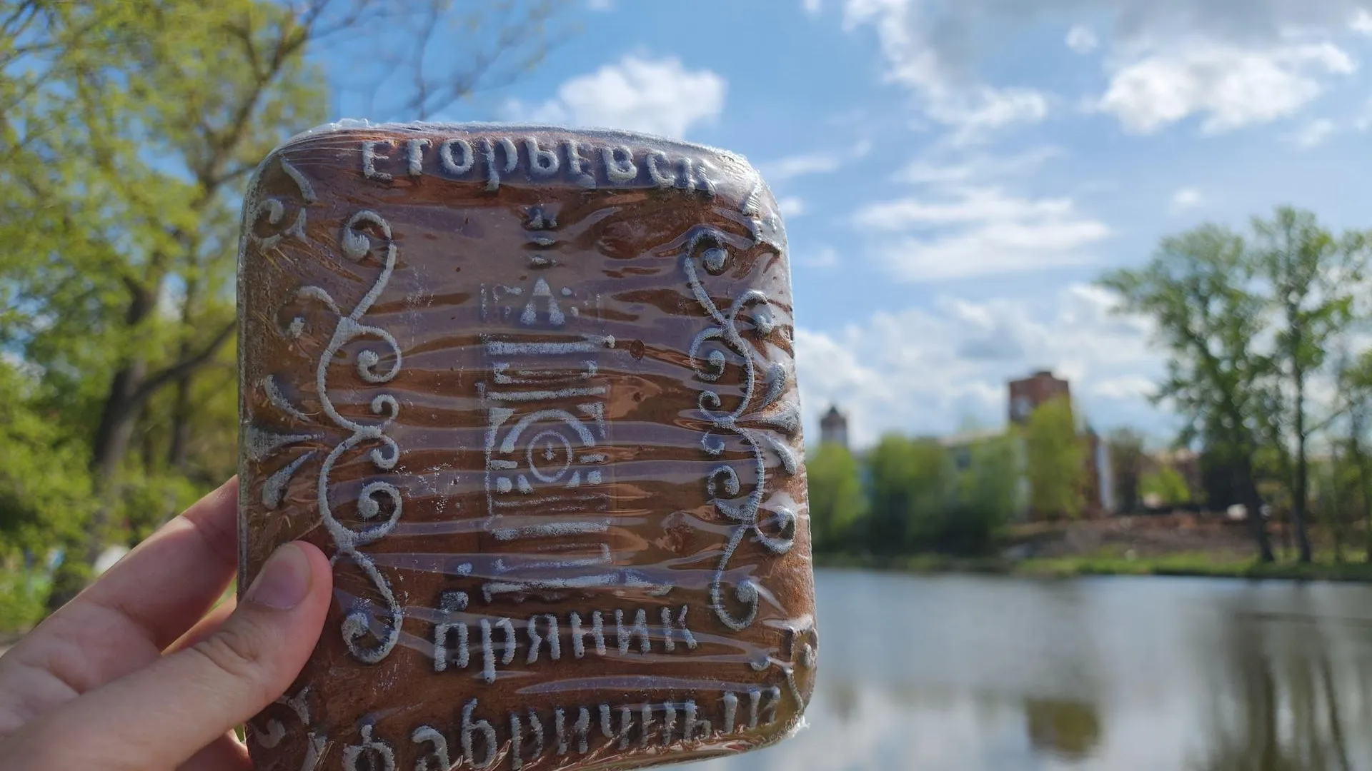 Фото: Юлия Андросова