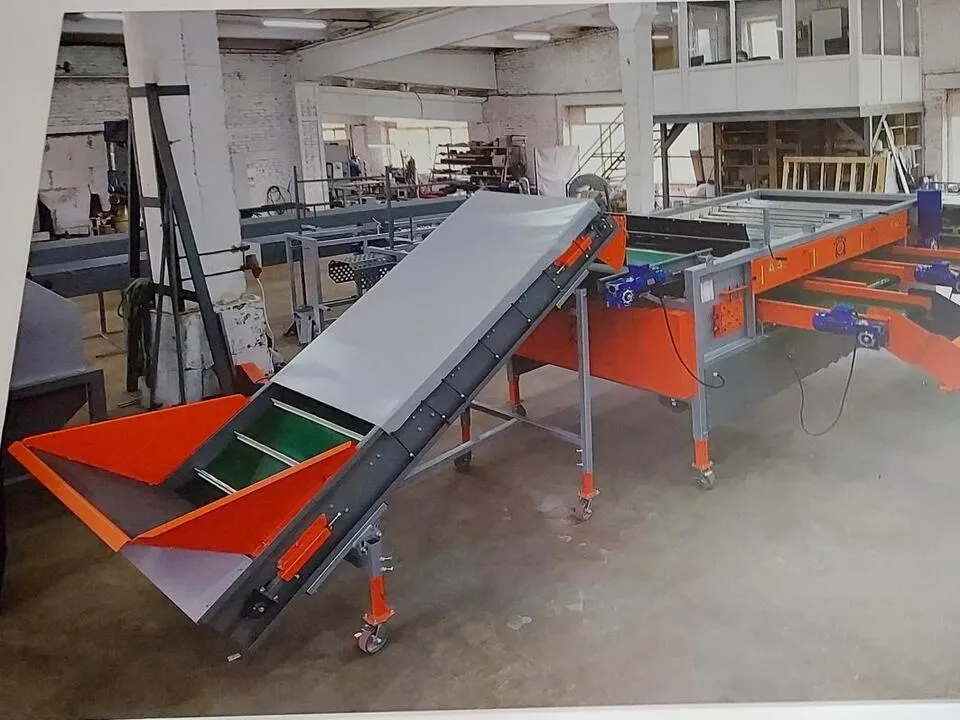 Фото: пресс-служба администрации г.о. Клин