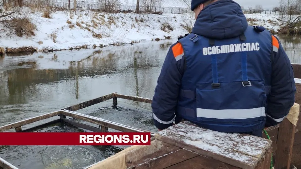 Фото: МедиаБанк Подмосковья/Андрей Алекин