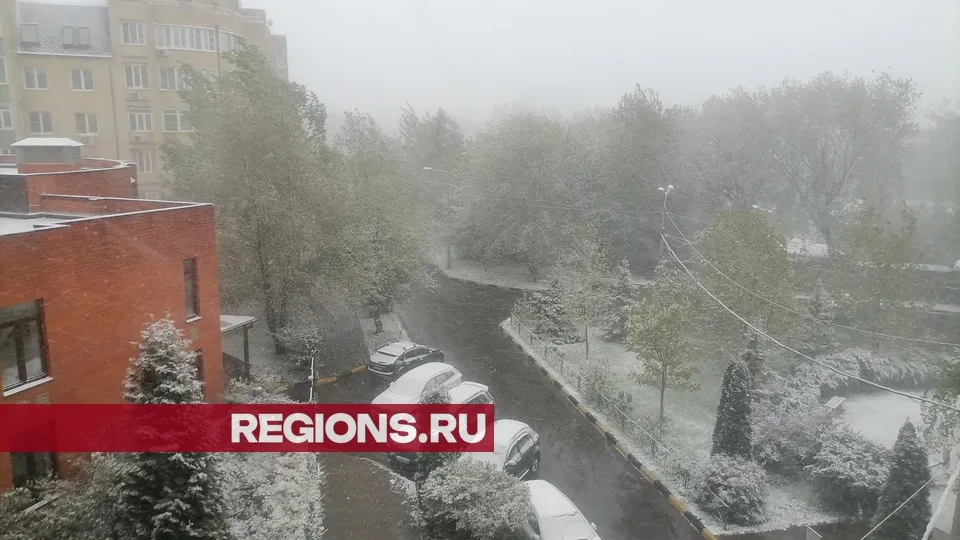 Фото: REGIONS/Александра Никитина