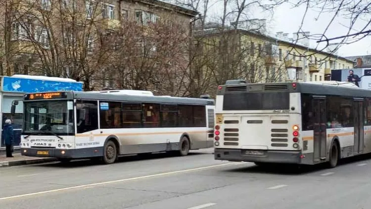 Фото: Нина Басистая