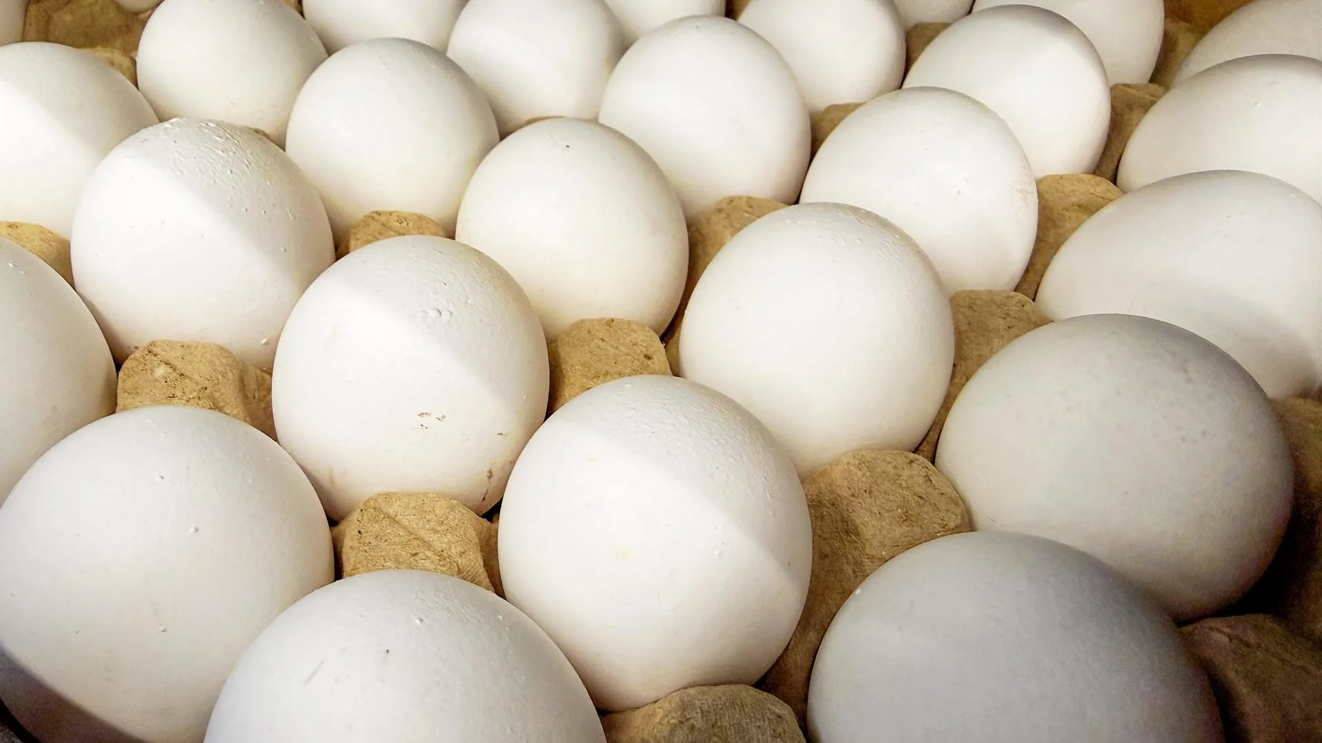 Ekaterina Sychkova/URA.RU