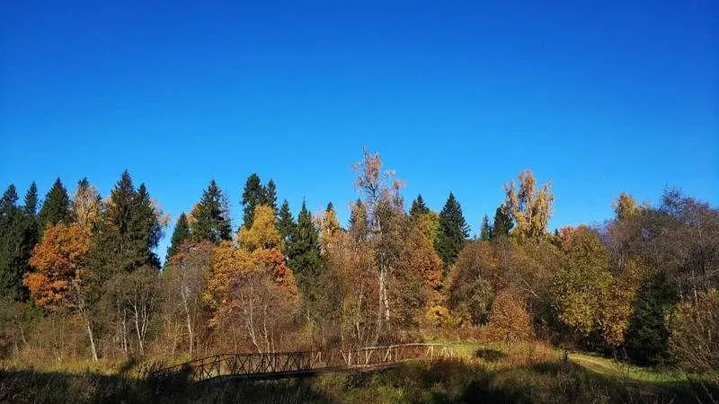 Комлесхоз МО