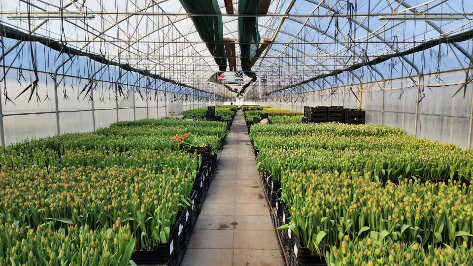 Фото: Дмитрий Алексеенко