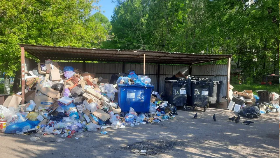 Фото: соцсети