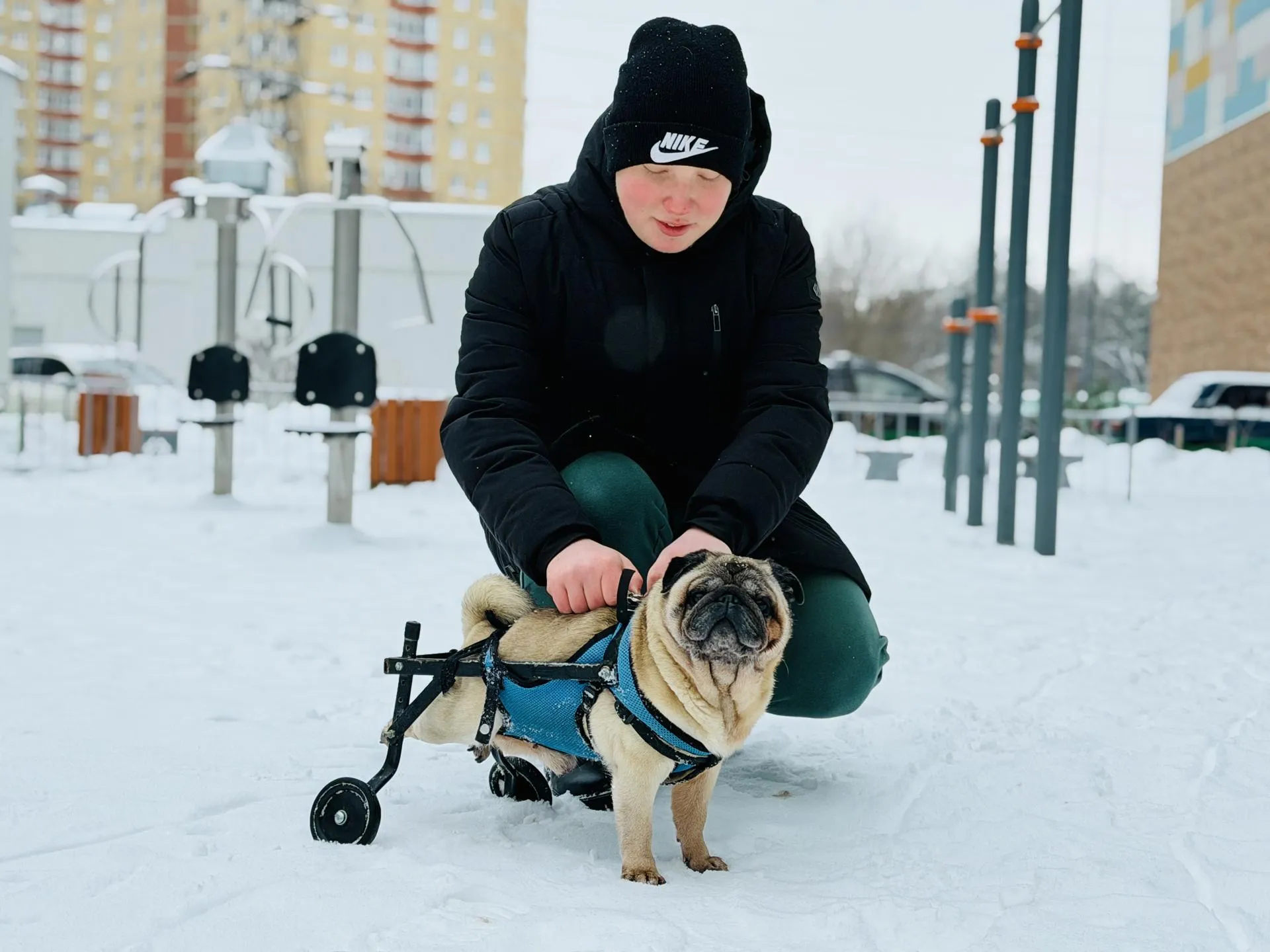 МедиаБанк Подмосковья/Ольга Стаферова