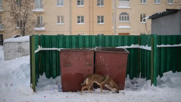 Александр Кряжев / РИА Новости