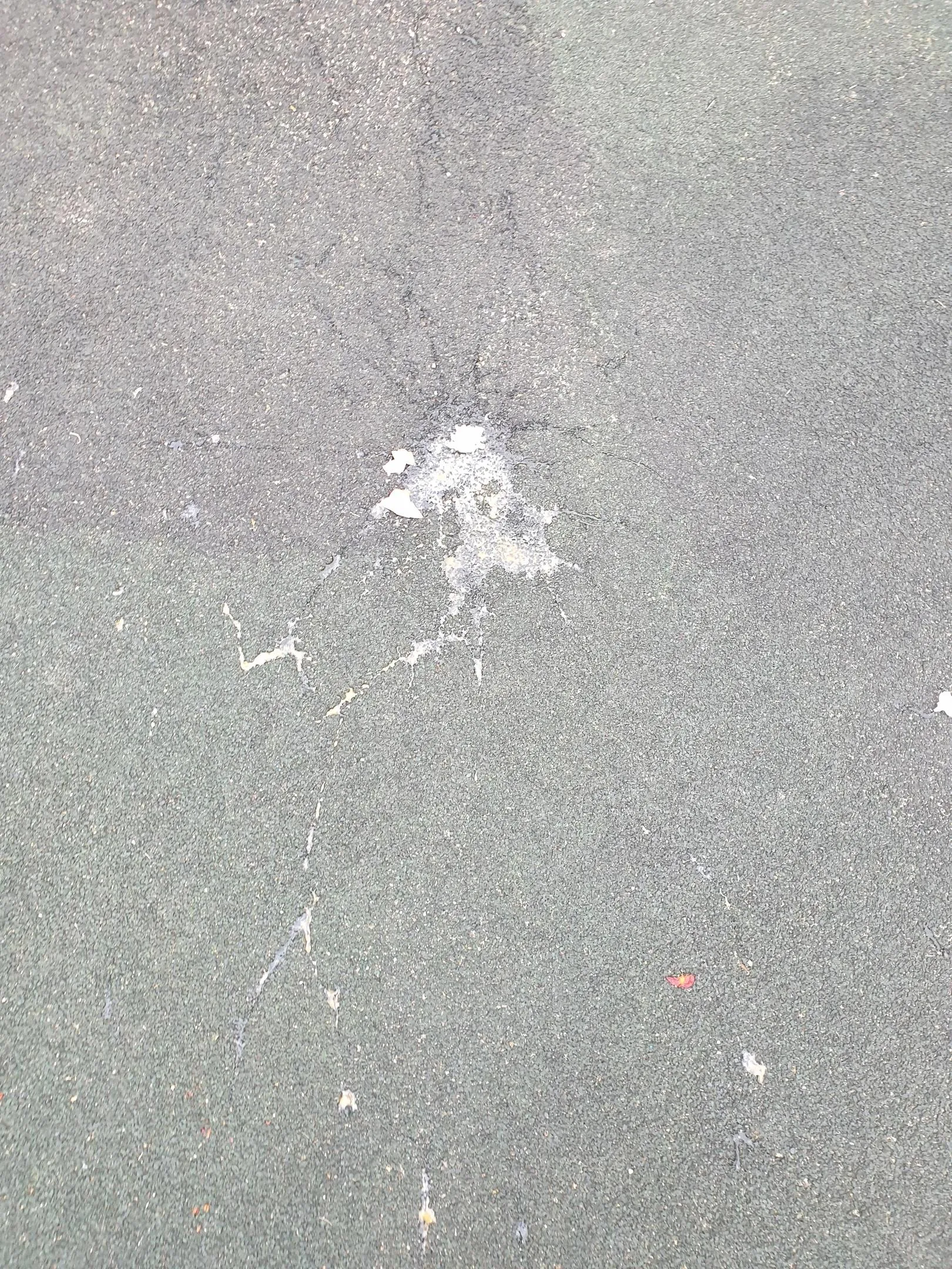 Фото: Подслушано в ЖК Новые Снегири  (Новоснегиревский) / ВКонтакте