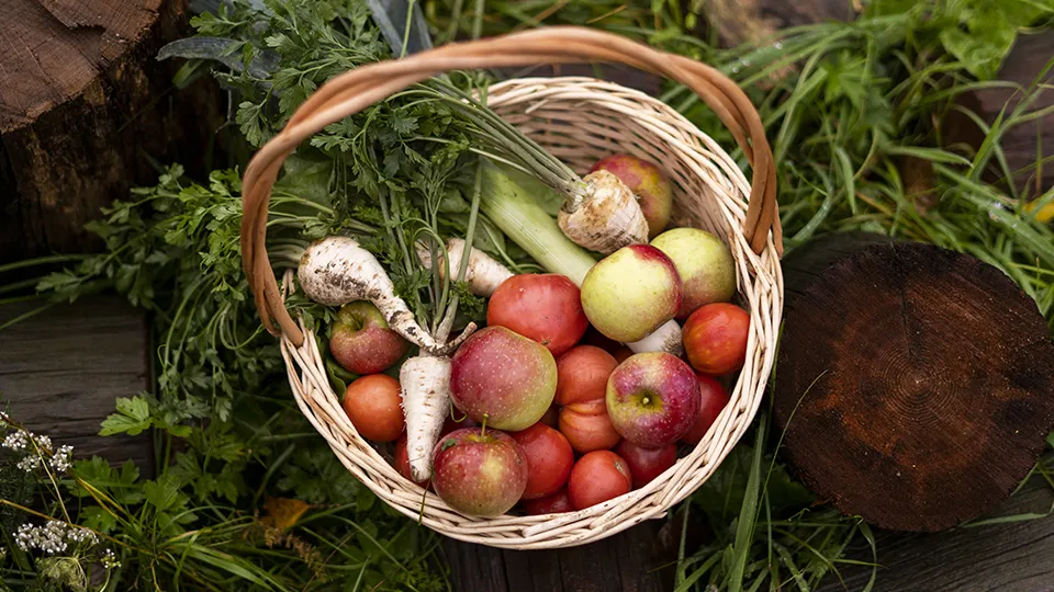 Фото: freepik.com