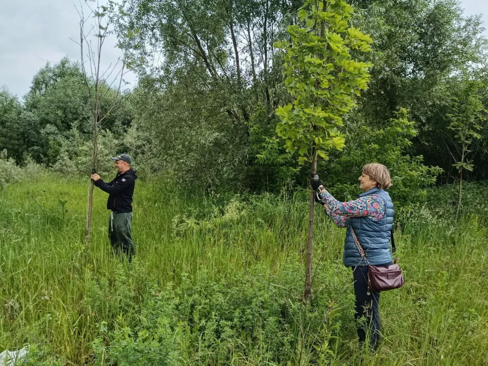 Фото: Общественная палата г.о. Жуковский&nbsp;