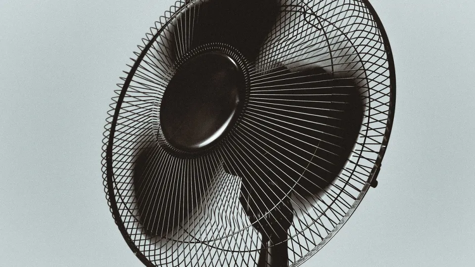 Фото: pxhere.com