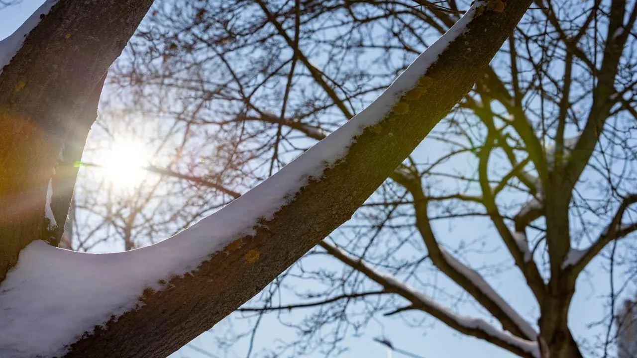 REGIONS/Роман Малышенко