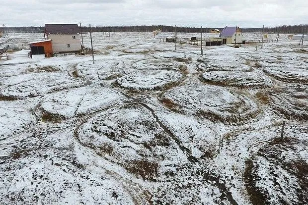 Фото находки из соцсетей