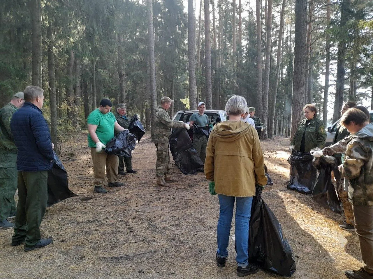 Фото: Комитет лесного хозяйства Московской области