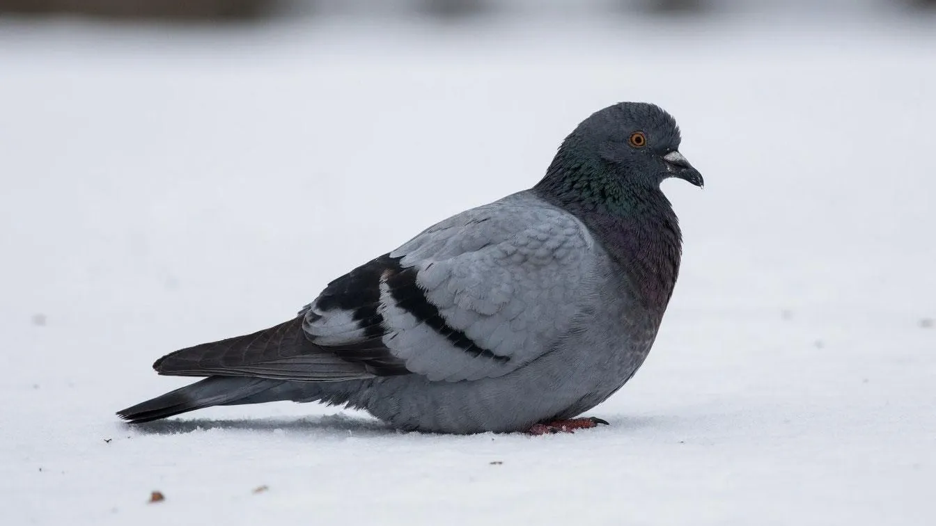 REGIONS/Сгенерировано нейросетью