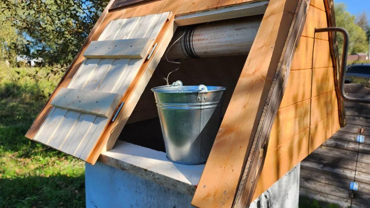 Фото: Яна Шаливская