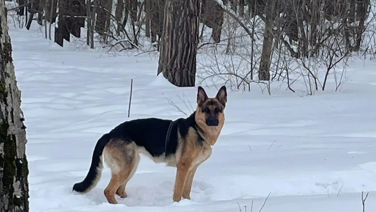 REGIONS/Юлия Петрова