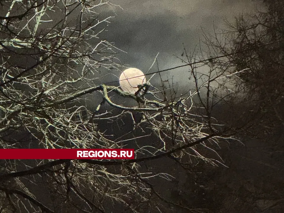 Фото: Михаил Моисеев