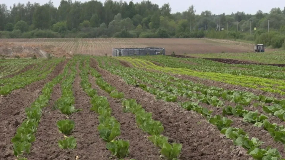 Фото: пресс-служба администрации г.о. Клин