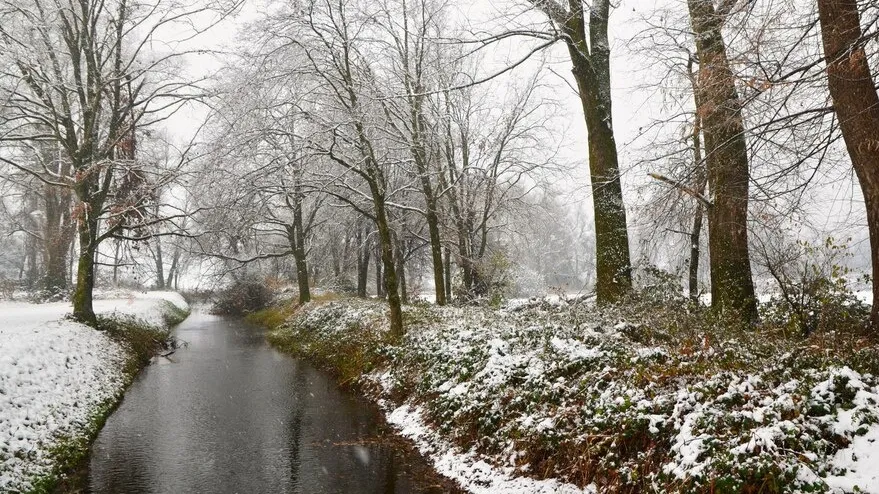 Фото: freepik.com