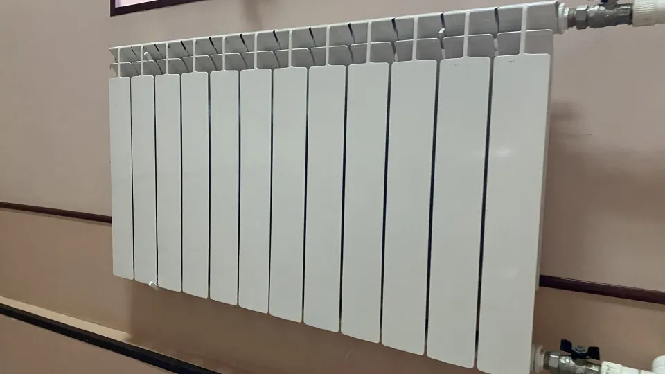 Фото: МедиаБанк Подмосковья/Екатерина Морозова