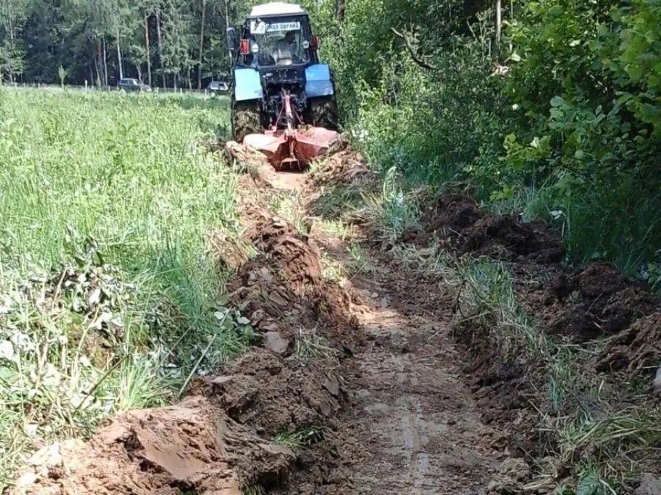 Фото: Комитет лесного хозяйства Московской области