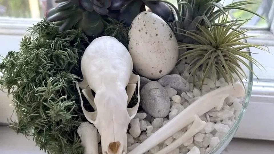 Фото: личный архив Анны Алтуховой