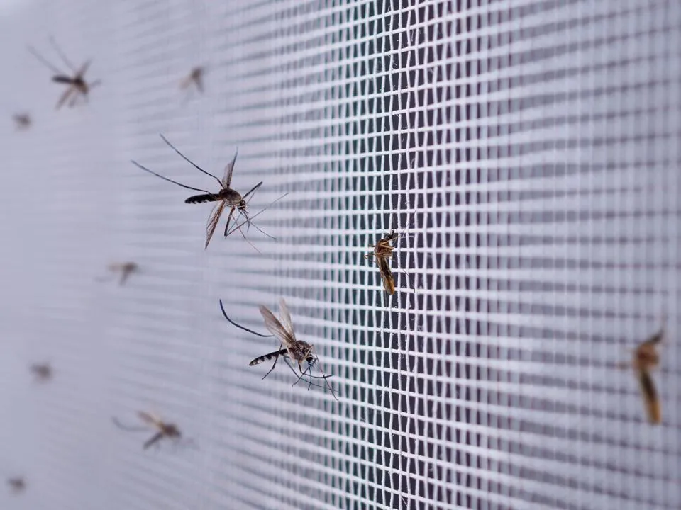 Фото: istockphoto.com