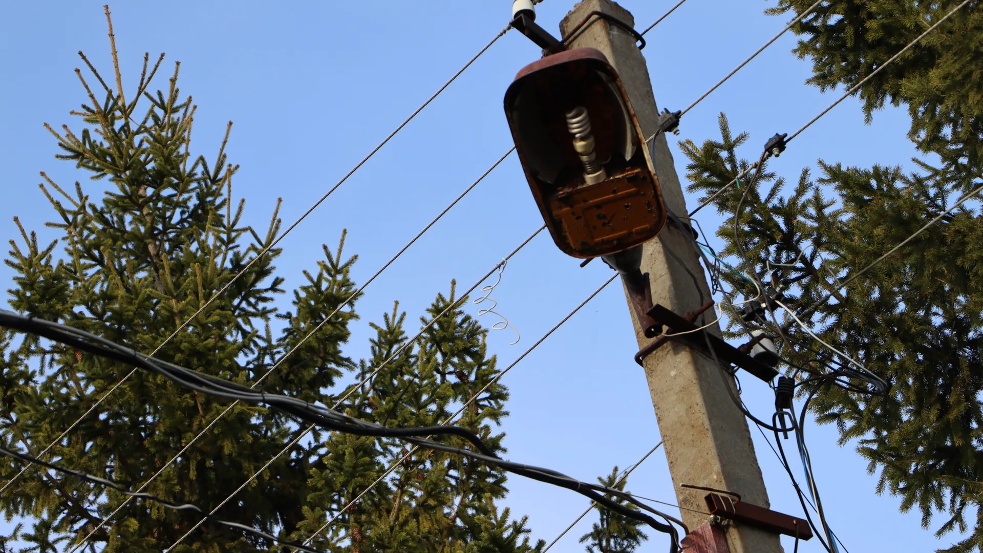 Фото: МедиаБанк Подмосковья/Ирина Калашникова