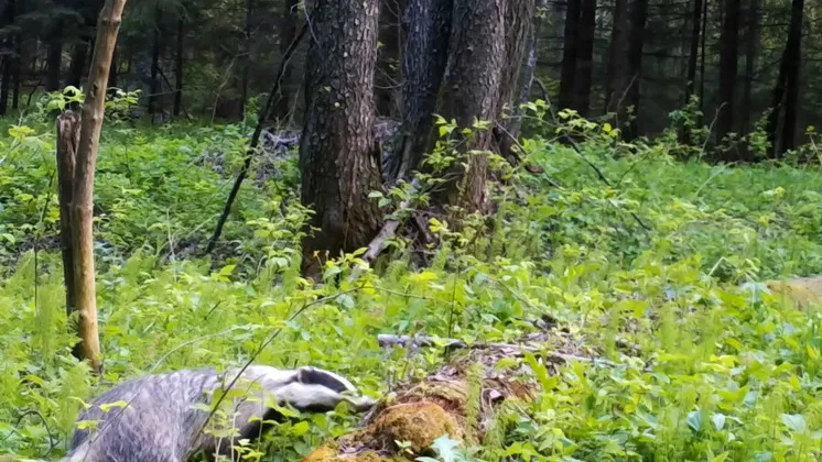 Фото: Приокско-Террасный заповедник