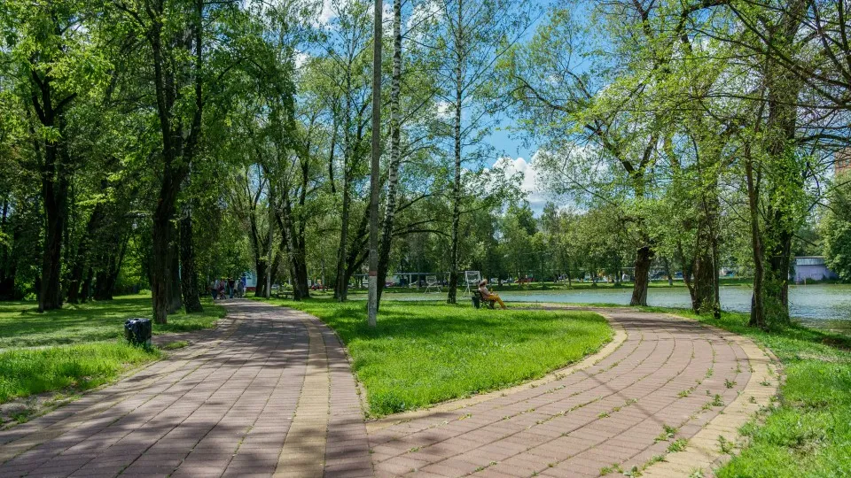 Фото: медиасток.рф