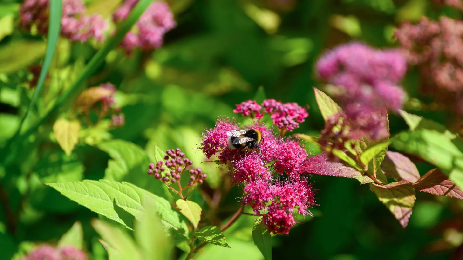 медиасток.рф