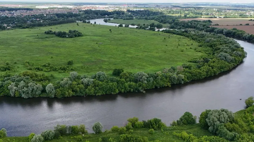 Фото: t.me/filatofff