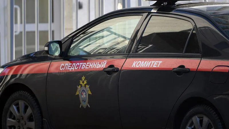 В Ленобласти задержали подозреваемого в убийстве матери и трехлетней сестры