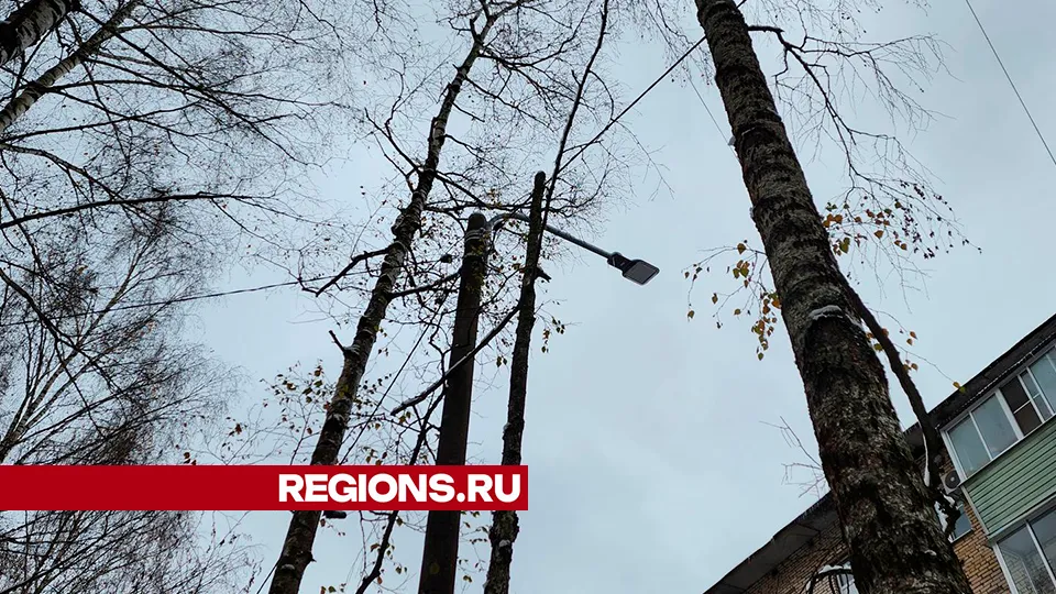 Фото: Валентина Максимова