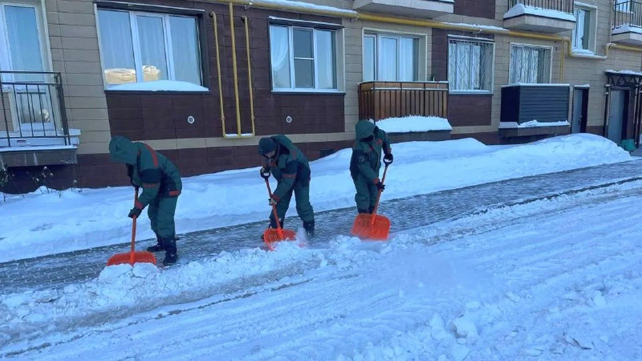 t.me/artsuvorov_live