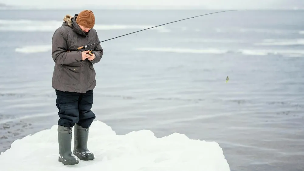 Фото: freepik.com