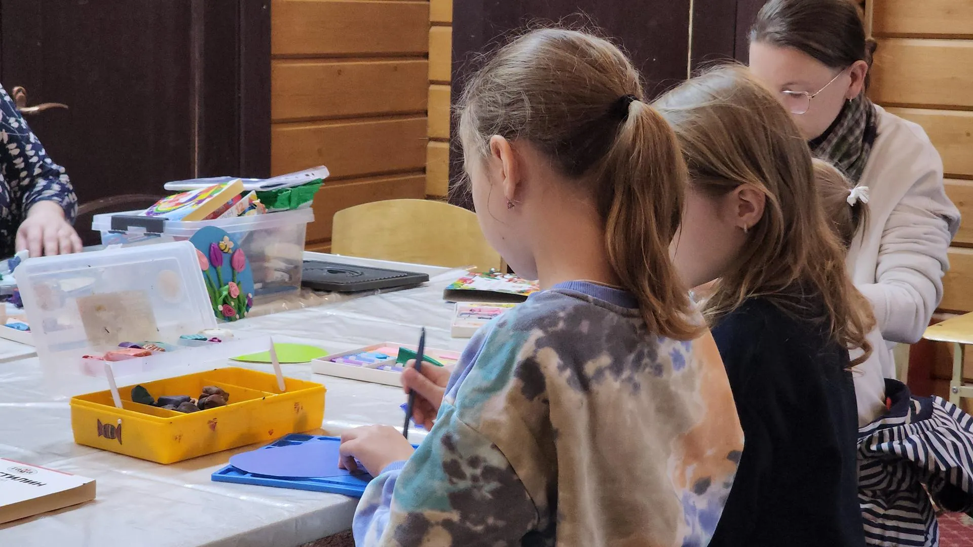 МедиаБанк Подмосковья/Алена Притула