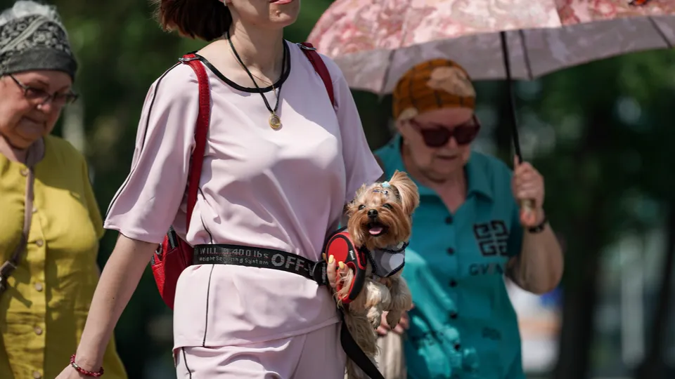 Фото: медиасток.рф