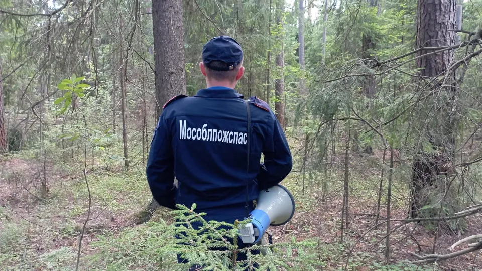 Фото: ГКУ МО «Мособлпожспас»