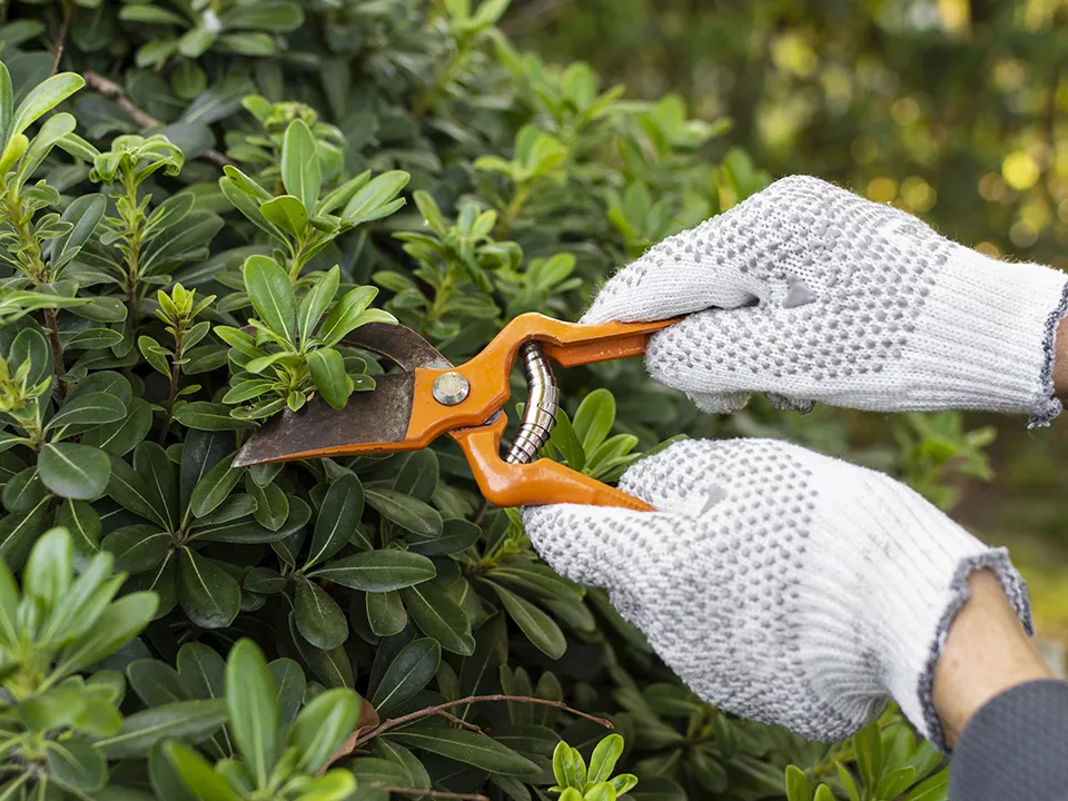 Фото: freepik.com